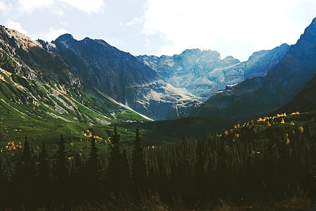 pine trees and mountain range under white clouds thumbnail