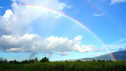 rainbow during daytime thumbnail
