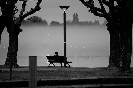 person sitting on bench near trees facing body of water thumbnail