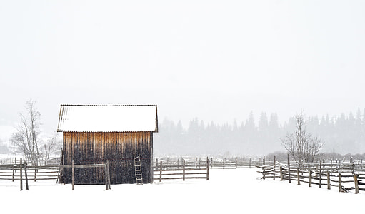 brown house on snowfield during winter thumbnail