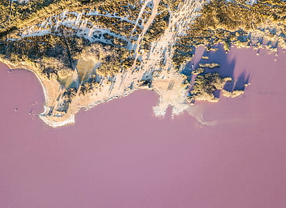 photo of brown and pink surface thumbnail