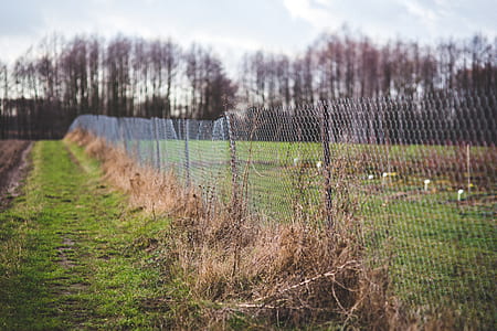 Mesh fence on the nature thumbnail