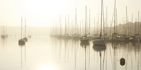 yachts docked beside city thumbnail
