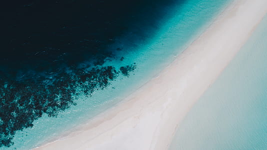 ocean and sand thumbnail