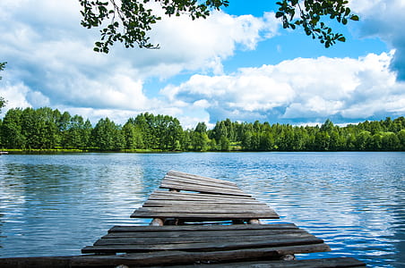 dock bay surrounded by body of water and view of trees thumbnail