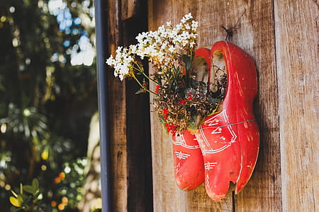 Pair of Red Wooden Shoes thumbnail