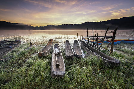 wood, sea, dawn, landscape thumbnail