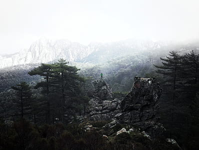 person standing on top of stone mountain with green trees under cloudy sky at daytime thumbnail