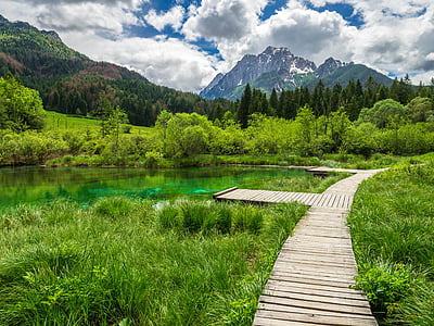 brown wooden dock near body of water and mountain under blkue sky at daytime thumbnail