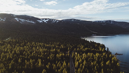 trees and body of water under blue sky thumbnail