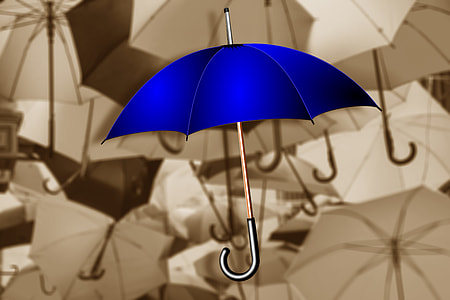 blue umbrella thumbnail