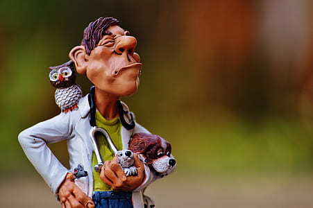 animal veterinarian with dogs and owl figurine on selective focus photo thumbnail