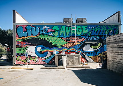 mural on wall thumbnail