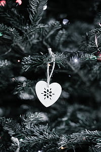 selective color photography of heart thumbnail