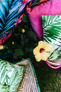 Exotic Garden Party Decorations thumbnail