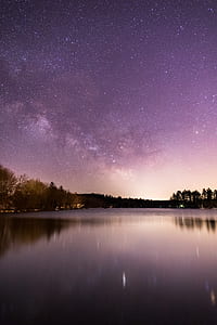 silhouette photo of trees under purple sky thumbnail