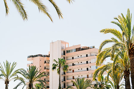 high-rise building in front of Palm Tree plantation thumbnail