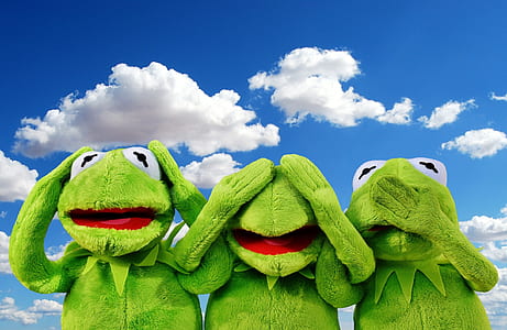 Kermit the Frog wallpaper thumbnail