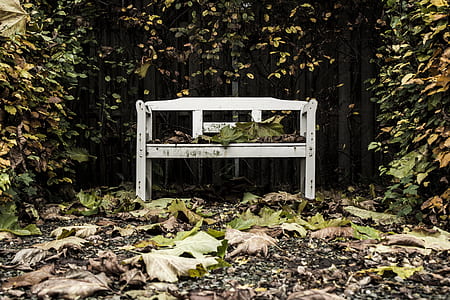 white wooden bench beside plants thumbnail
