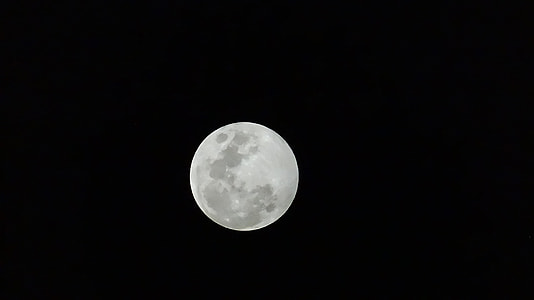 white moon thumbnail