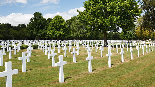 photography of American Cemetery during daytime thumbnail