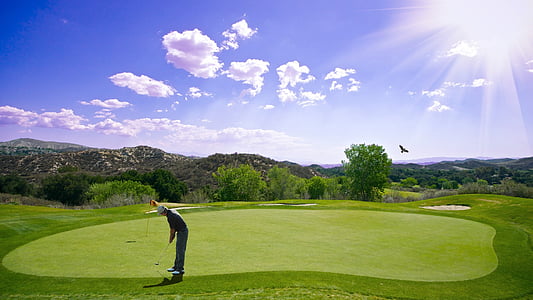 man in black shirt and pants holding standing on green grass field playing golf thumbnail