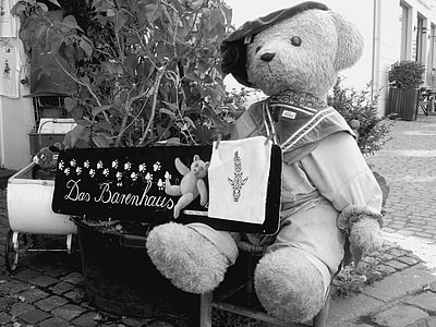 gray bear plush beside plant thumbnail