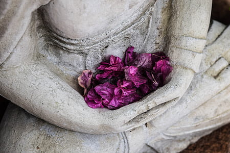 purple leaves on hands statue thumbnail