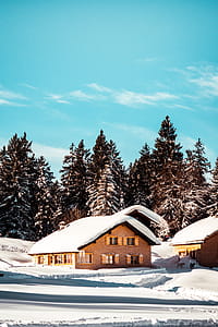 Snow-capped Houses thumbnail