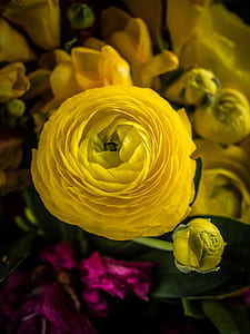 yellow flowers thumbnail