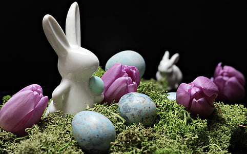 white rabbit and egg illustration thumbnail
