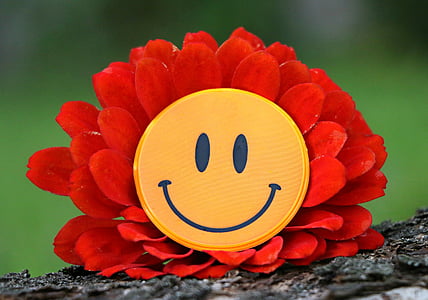 selective focus photography of red zinnia flower with yellow smiley decor thumbnail