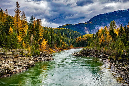 forest with body of water and mountain thumbnail