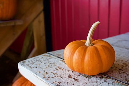 orange squash on top of white table thumbnail