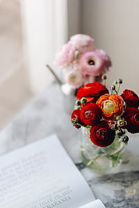 Vogue Poland 2 2018 & Lovely Buttercup Flowers thumbnail
