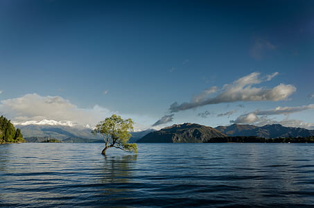 rippling body of water with background of mountains during golden hour thumbnail