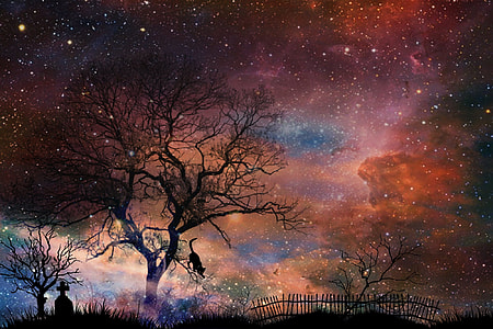 starry night with graveyard silhouette thumbnail