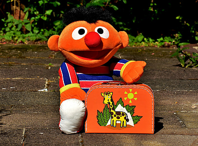 Sesame Street character plush toy outdoors thumbnail