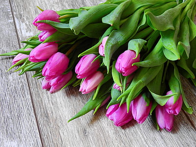 closeup photo of purple tulip flowers thumbnail