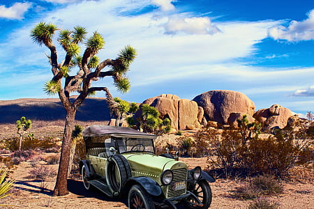 green car parked near tree thumbnail