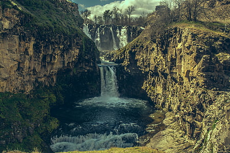 flowing body of water surrounded with trees thumbnail