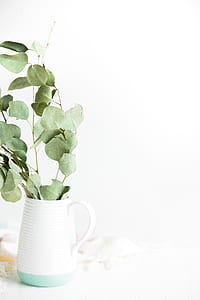 photo of green leafed plant on white and teal vase thumbnail