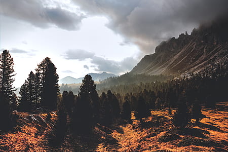 Silhouette of Mountain Hill With Pine Trees Under White Cloud Blue Sky thumbnail