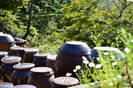 brown urns surrounded with plants thumbnail