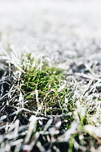 Frost covered grass in the morning thumbnail