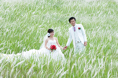 Wedding Photo, Beautiful Wedding Photo thumbnail