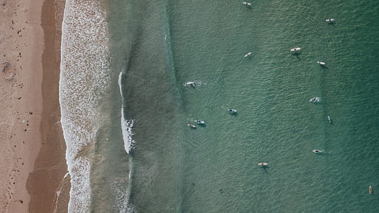 group of people riding surfboard during daytime thumbnail