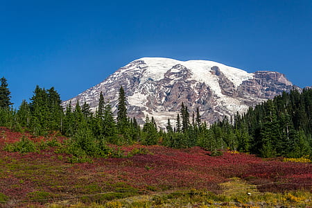landscape photography of mountain and trees thumbnail