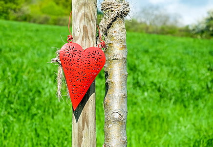 red heart hanging decor on brown tree thumbnail