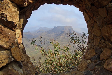 green leafed plants beside rock formation thumbnail